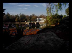 lagodechapultepec 2